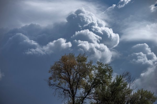 Тревожное небо