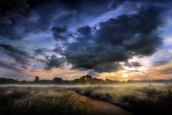 Тревожный пейзаж