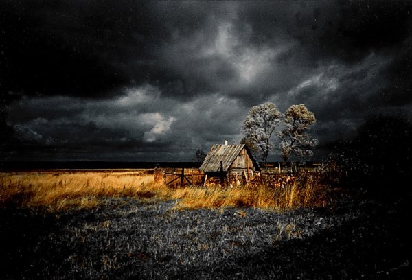 Тучи над лесом