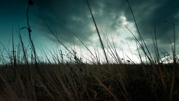 Dark Skies by Tracy Hymas