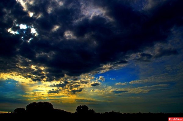 Питер Аллен Нисбет.