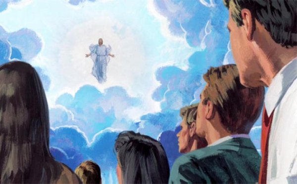 Человек на лестнице