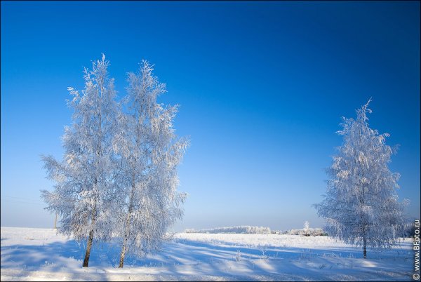 Ясный морозный день