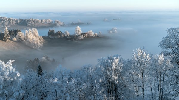 Туман зимой