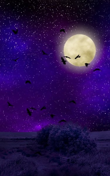 Падающая ЗВЕЗДАЗВЕЗДА