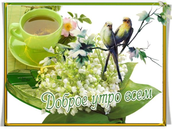 Прекрасного ясного утра и доброго дня