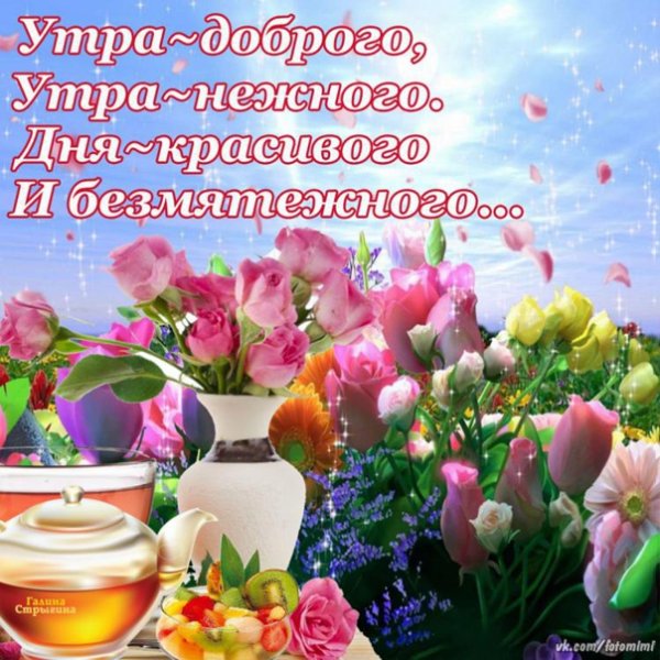 Доброго солнечного утра и чудесного дня