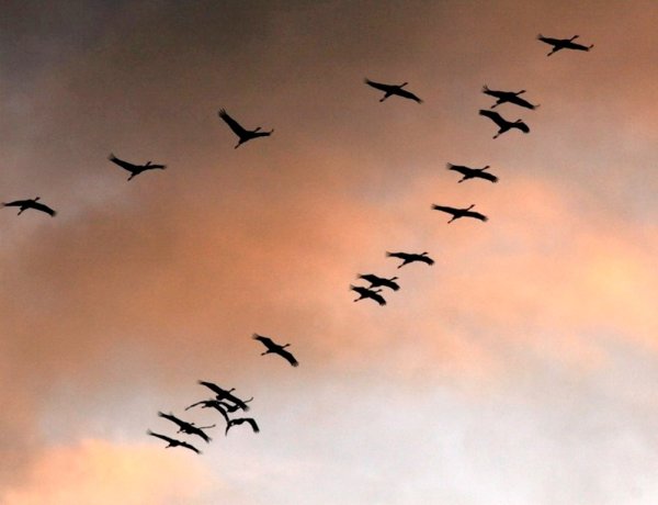Журавлиный Клин осенью