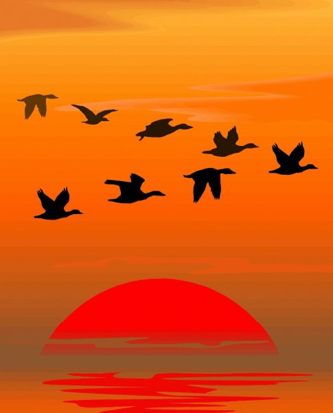 Стая Клин косяк птиц