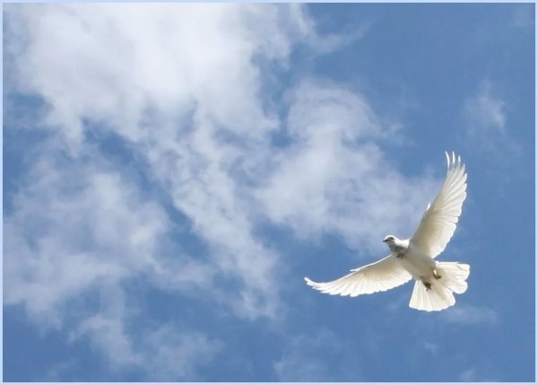 Фон мирное небо