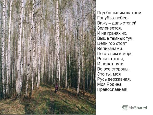 Стих под большим шатром