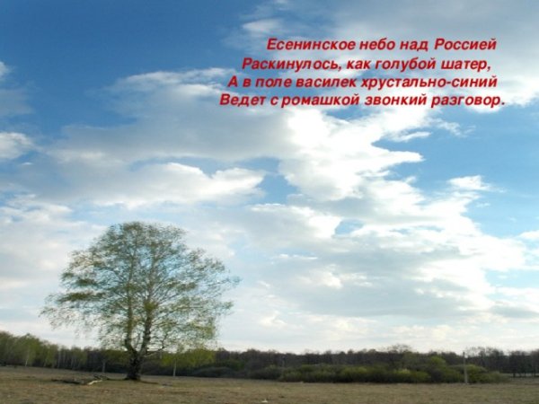 Просторы России поля