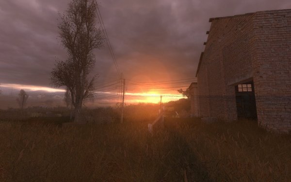 Сталкер чистое небо 2014