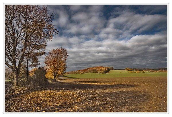 Пушкина уж небо осенью дышало