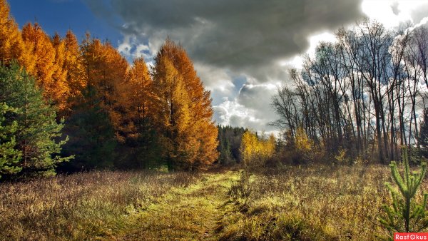 Стоял ноябрь уж у двора и небо осенью дышало