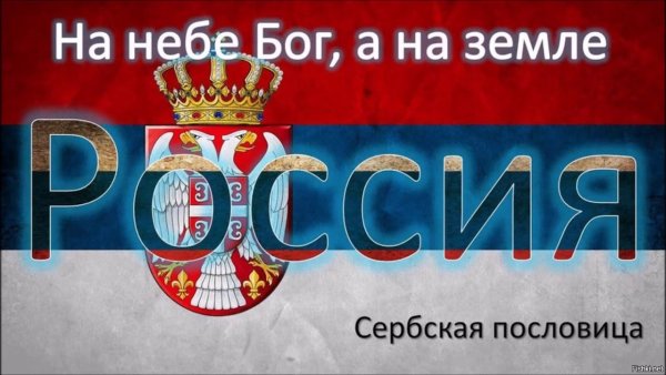 Устойчивая психика это когда жизнь пиная вас