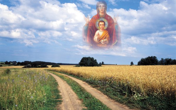 Руси сербы братья заувек