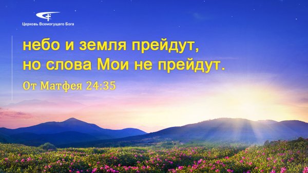 Православные братья