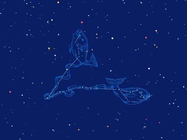 Овен созвездие схема. Знаки зодиака. Созвездие рыб и овна. Камень созвездия рыбы. Созвездие рыбы.