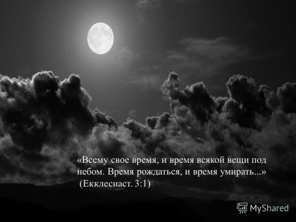 Всему свое время и время