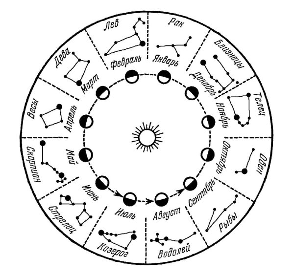 Созвездия знаков зодиака вектор