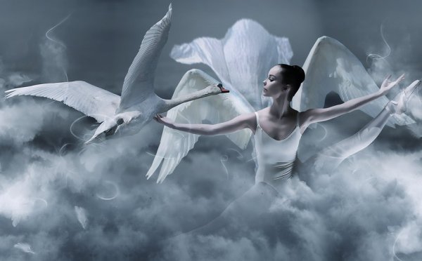 Белые ангелы летают