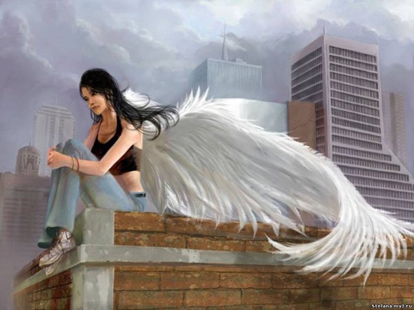 Крылья счастья