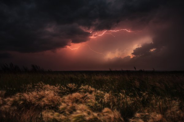 Гроза в поле