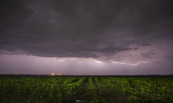Многоячейковые кластерные грозы