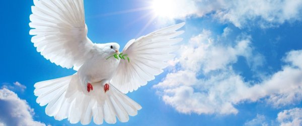 Мирное небо