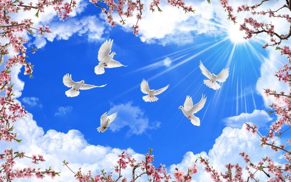 Весеннее небо с птицами