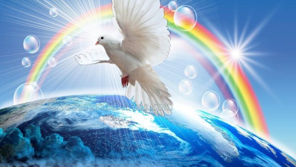 Небо высоко