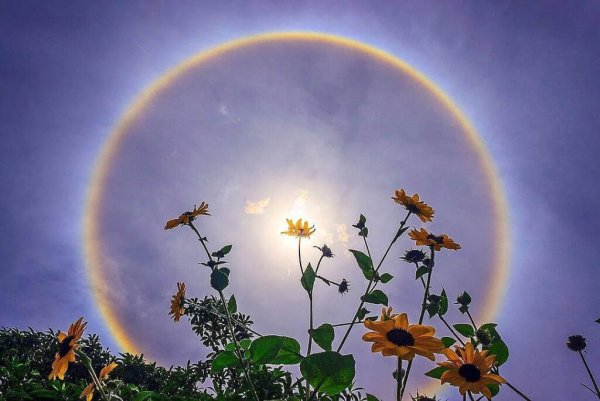 Солнечное гало летом