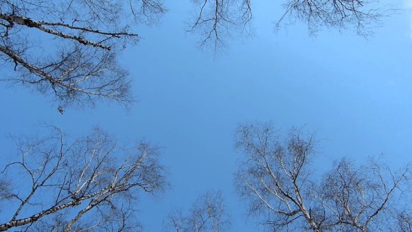 Ранняя Весна небо