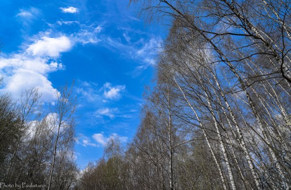 Апрельское небо