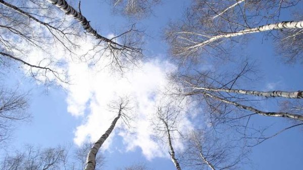 Солнце весной