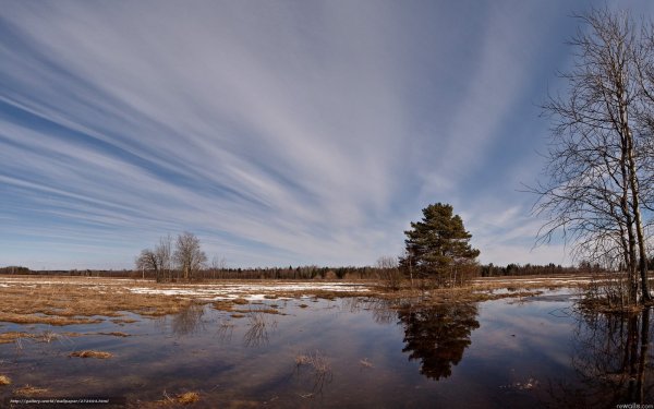 Пейзаж небо ранняя Весна