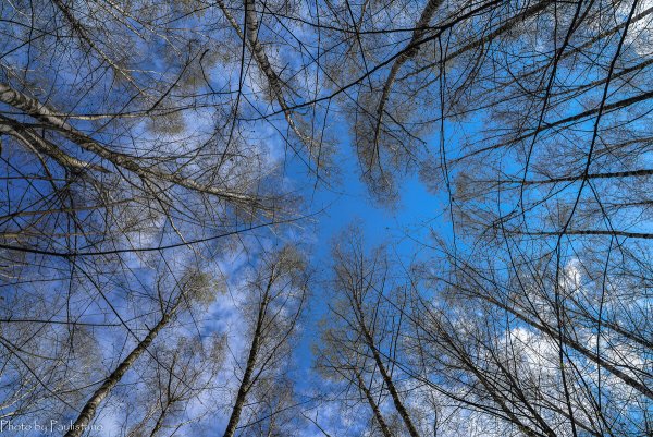 Небо в апреле