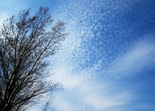 Весеннее чистое небо