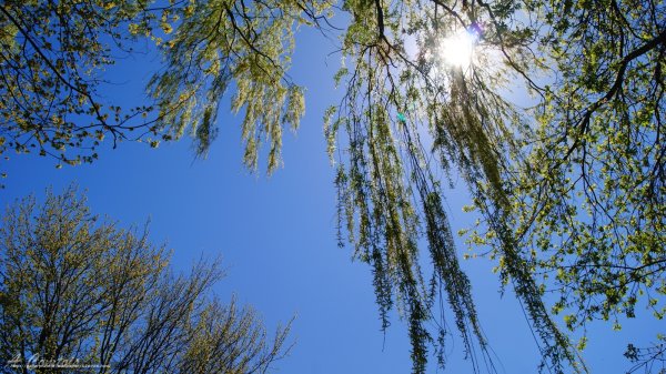 Апрель природа