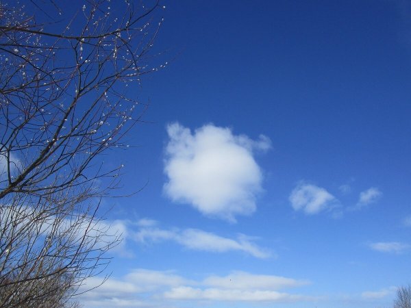 Ясное небо весной