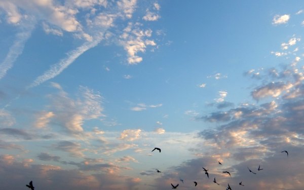 Небо голубое утро