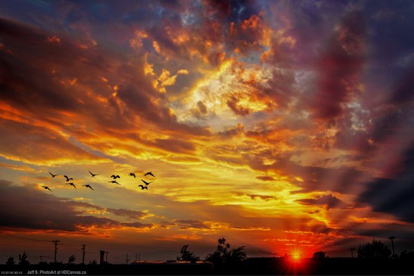 Рыжий закат