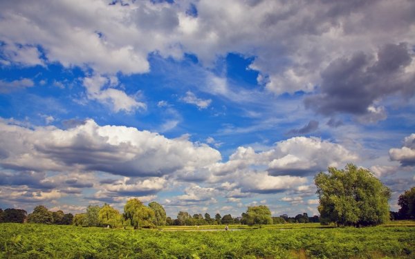 Небо России