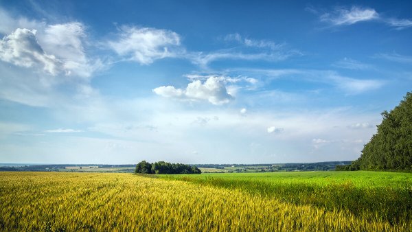 Ясногорск Тульская область природа