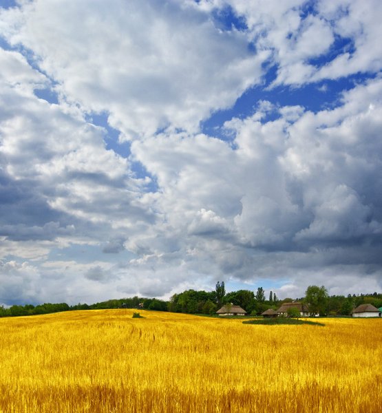 Русское поле