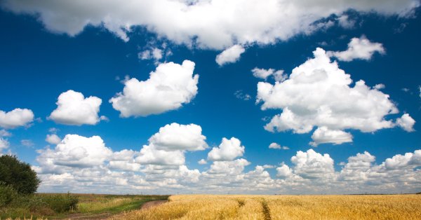 Жёлтая Нива Лермонтов