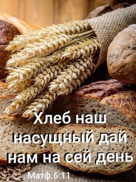 Библия хлеб жизни