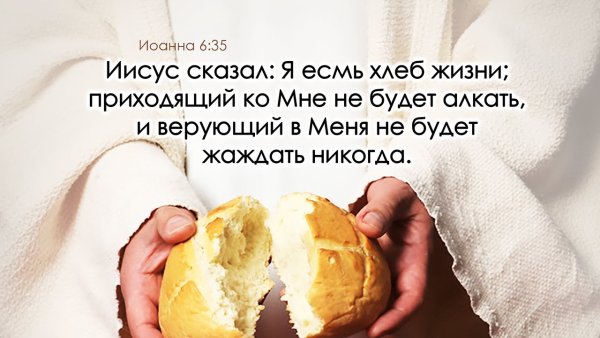 Иисус хлеб жизни
