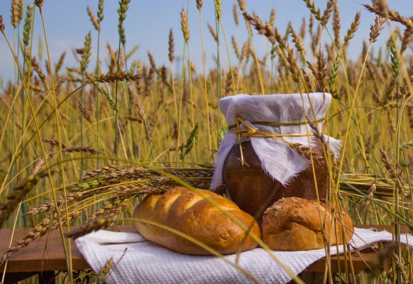 Хлеб всему голова